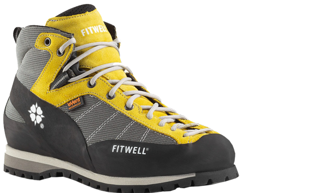 FitWell Shoe