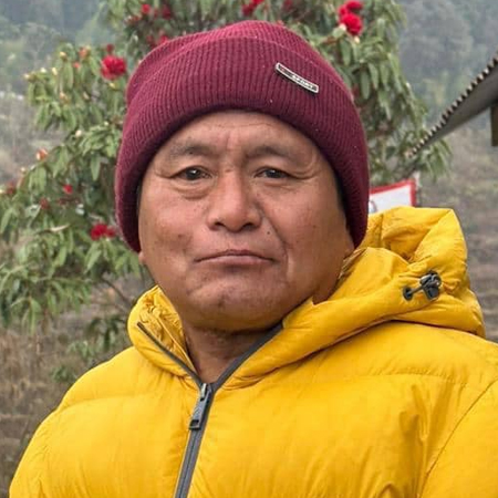 Free Template by Untree.co